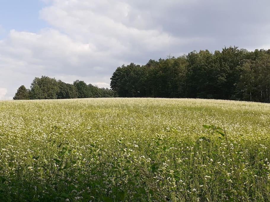 Schoene Und Ruhige Ferienwohnung In Ottendorf Зебниц Екстериор снимка
