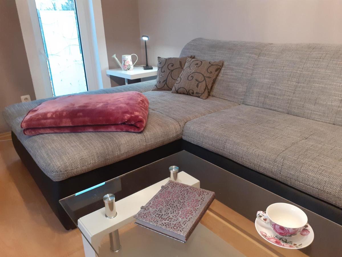 Schoene Und Ruhige Ferienwohnung In Ottendorf Зебниц Екстериор снимка